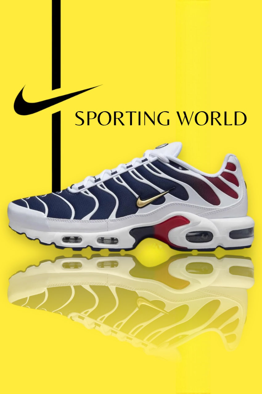 Nike Air Max Plus TN - Paris Saint Germain