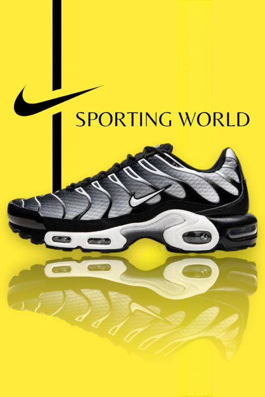 Nike Air Max Plus TN - Black & Silver